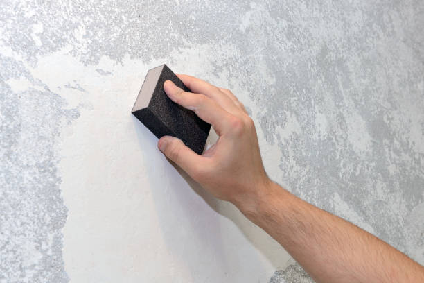 Best Industrial Mold Remediation  in Ionia, MI
