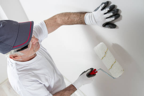 Best Post-Construction Mold Inspection  in Ionia, MI
