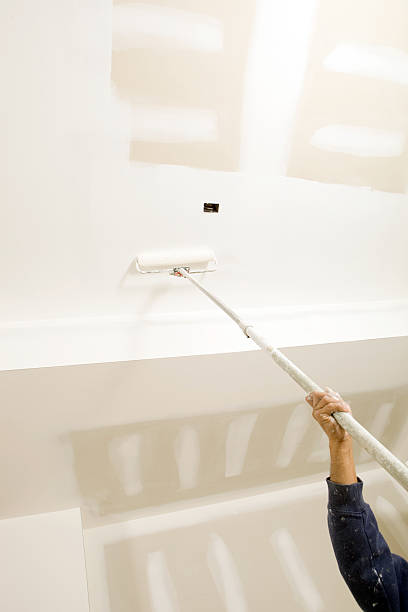 Best Mold Remediation for Healthcare Facilities  in Ionia, MI